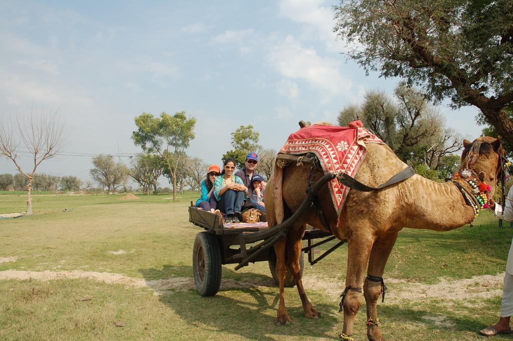 Savista Retreat Hotell Jaipur Eksteriør bilde