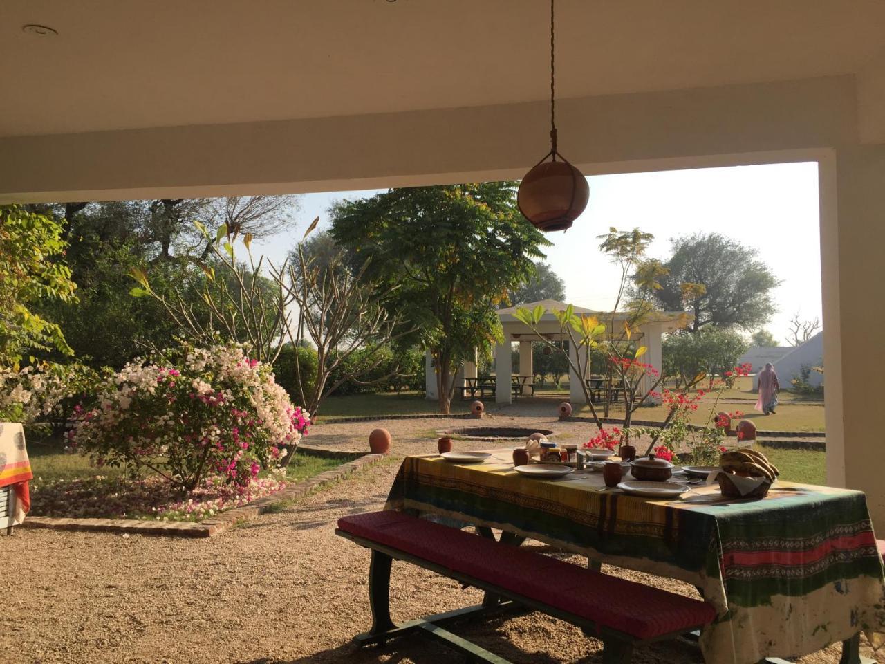 Savista Retreat Hotell Jaipur Eksteriør bilde